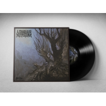 A Thousand Sufferings - Stilte