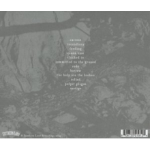 Torch Runner - Committed To the Ground