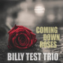 Test, Billy -Trio- - Coming Down Roses