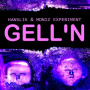 Hanslik & Moniz Experiment - Gell'n