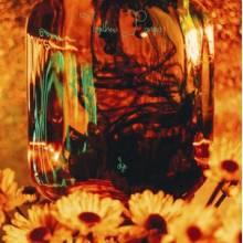 Together Pangea - Dye