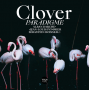 Clover - Paradigme
