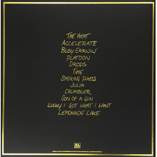 Jungle - Jungle