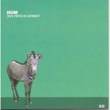 Hum - You'd Prefer an Astronaut