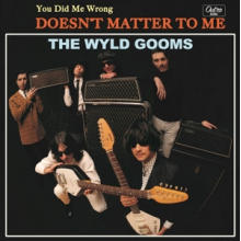 Wyld Gooms - You Did Me Wrong
