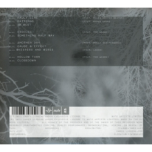 Liebing, Chris - Another Day