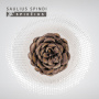 Spindi, Saulius - Spiecius