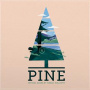 Tumult Kollektiv - Pine