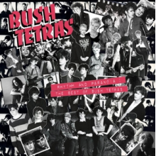 Bush Tetras - Rhythm and Paranoia: the Best of...