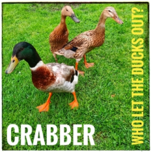 Crabber - Who Let the Ducks Out?