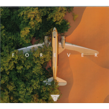 Flight Facilities - Forever