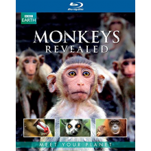 Documentary/Bbc Earth - Monkey's Revealed