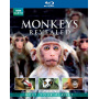 Documentary/Bbc Earth - Monkey's Revealed