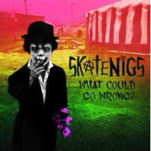 Skatenigs - What Could Go Wrong?