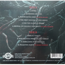 Insect Inside - First Shining of New Genus