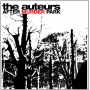 Auteurs - After Murder Park