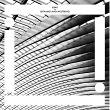 Kink - Dynamo and Neutrino