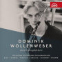 Wollenweber, Dominik - Art of English Horn
