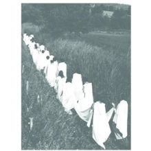 Radigue, Eliane - Opus 17