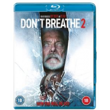 Movie - Don't Breathe 2