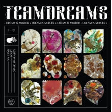 Sin Fang & Soley & Orvar Smarason - Dream is Murder