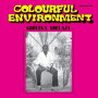 Adelaja, Gboyega - Colourful Environment