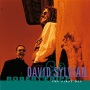 Sylvian, David/Robert Fripp - First Day
