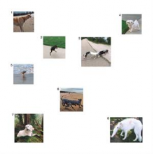 Our Souls Are In the Hands of the Translator - An Era of Spiritual Tenebrae