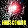 Hans Condor - Breaking and Entering