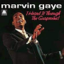 Gaye, Marvin - I Heard It Through the Grapevine