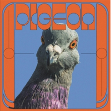 Pigeon - Yagana