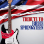 V/A - Bruce Springsteen, Tribute To