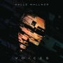 Wallner, Kalle - Voices