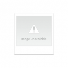 Hynes, Devonte - Palo Alto: Original Motion Picture Score