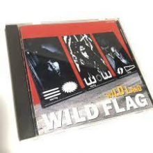 Wild Flag - Wild Land