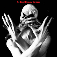 Avalanche Party - 24 Carat Diamond Trephine