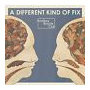 Bombay Bicycle Club - A Different Kind of Fix