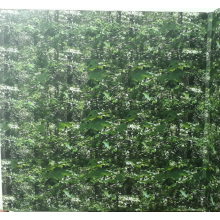 Gas - Der Lange Marsch