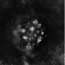 Saffronkeira - Synedoche