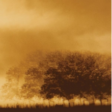 Infinite Light Ltd. - Infinite Light Ltd.