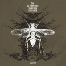 Kilimanjaro Darkjazz Ensemble, the - Mutations