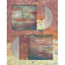 Multicast Dynamics - Continental Ruins