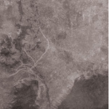 Multicast Dynamics - Scandinavia