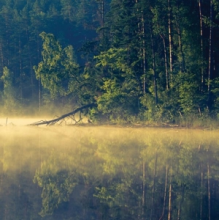 Oneirogen - Plentitude