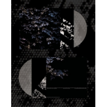 Vallera, Michael - Vivid Flu