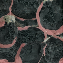 Chenaux, Eric - Say Laura