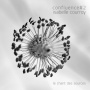 Courroy, Isabelle - Confluence #2 - Le Chant Des Sources