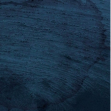 Multicast Dynamics - Aquatic System