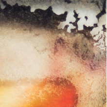 Multicast Dynamics - Scape