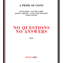 A Pride of Lions - No Questions No Answers